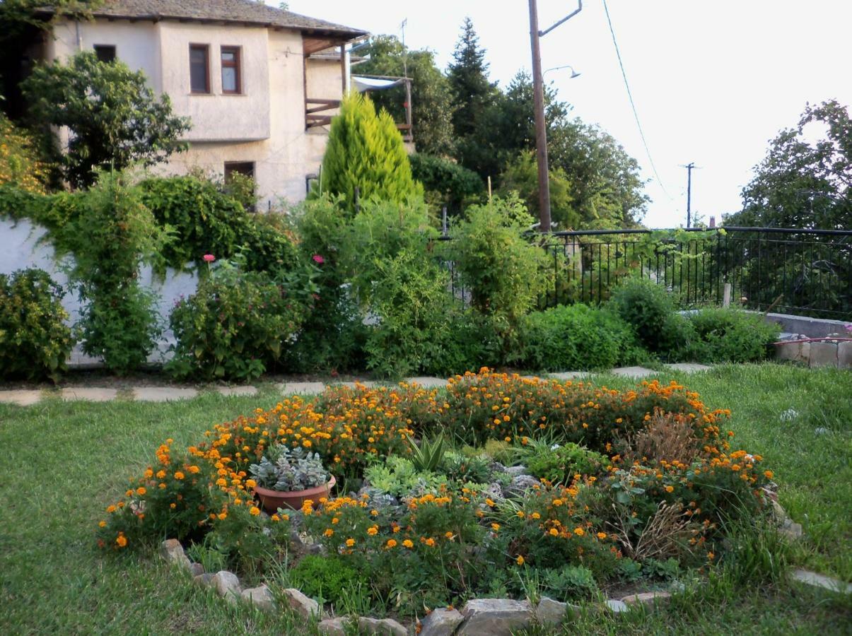 Filyra Apartment Pilion Exterior photo